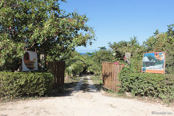 Cashew Grove Beach Resort 布桑加 外观 照片